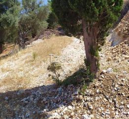 Οικόπεδο 2.000 τ.μ. για πώληση, Ν. Λευκάδας, Λευκάδα-thumb-18