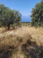 Οικόπεδο 2.000 τ.μ. για πώληση, Ν. Λευκάδας, Λευκάδα-thumb-10