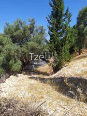 Οικόπεδο 2.000 τ.μ. για πώληση, Ν. Λευκάδας, Λευκάδα-thumb-9
