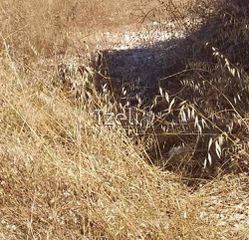 Οικόπεδο 2.000 τ.μ. για πώληση, Ν. Λευκάδας, Λευκάδα-thumb-29