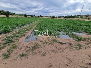 Οικόπεδο 4.504 τ.μ. για πώληση