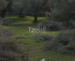 Αγροτεμάχια 8.442 τ.μ. για πώληση, Αχαΐα, Ωλένια-thumb-16