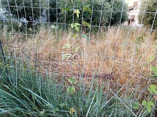 Αγροτεμάχια 8.442 τ.μ. για πώληση, Αχαΐα, Ωλένια-thumb-5