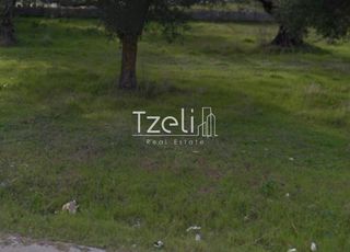 Αγροτεμάχια 8.442 τ.μ. για πώληση, Αχαΐα, Ωλένια-thumb-29