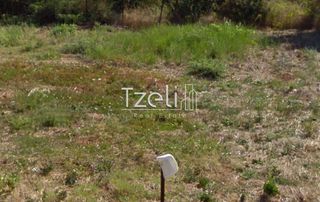 Αγροτεμάχια 8.442 τ.μ. για πώληση, Αχαΐα, Ωλένια-thumb-9
