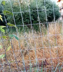 Αγροτεμάχια 8.442 τ.μ. για πώληση, Αχαΐα, Ωλένια-thumb-27