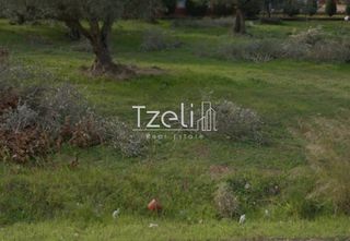 Αγροτεμάχια 8.442 τ.μ. για πώληση, Αχαΐα, Ωλένια-thumb-22