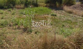 Αγροτεμάχια 8.442 τ.μ. για πώληση, Αχαΐα, Ωλένια-thumb-13