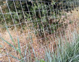 Αγροτεμάχια 8.442 τ.μ. για πώληση, Αχαΐα, Ωλένια-thumb-11