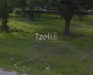 Αγροτεμάχια 8.442 τ.μ. για πώληση, Αχαΐα, Ωλένια-thumb-25