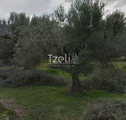 Αγροτεμάχια 8.442 τ.μ. για πώληση, Αχαΐα, Ωλένια-thumb-19