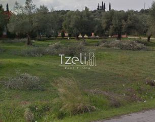 Αγροτεμάχια 8.442 τ.μ. για πώληση, Αχαΐα, Ωλένια-thumb-4