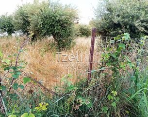 Αγροτεμάχια 8.442 τ.μ. για πώληση