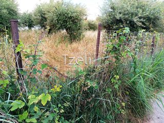 Αγροτεμάχια 8.442 τ.μ. για πώληση, Αχαΐα, Ωλένια-thumb-7