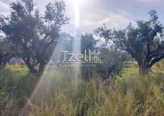 Οικόπεδο 1.110 τ.μ. για πώληση