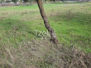 Οικόπεδο 600 τ.μ. για πώληση, Αχαΐα, Πάτρα-thumb-22