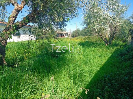 Land plot 420sqm for sale-Vrachneika » Monodendri