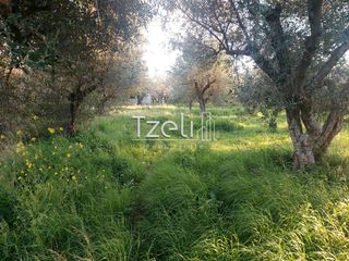 Οικόπεδο 7.147 τ.μ. για πώληση