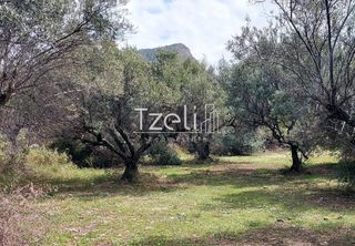 Οικόπεδο 1.080 τ.μ. για πώληση