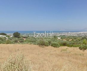 Οικόπεδο 1.000 τ.μ. για πώληση