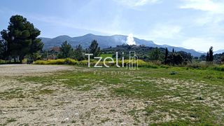 Οικόπεδο 4.645 τ.μ. για πώληση, Αχαΐα, Μεσσατίδα-thumb-13