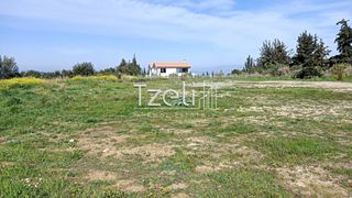 Οικόπεδο 4.645 τ.μ. για πώληση, Αχαΐα, Μεσσατίδα-thumb-22