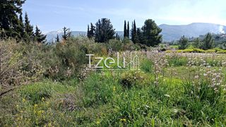 Οικόπεδο 4.645 τ.μ. για πώληση, Αχαΐα, Μεσσατίδα-thumb-6