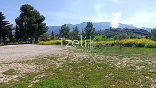 Οικόπεδο 4.645 τ.μ. για πώληση, Αχαΐα, Μεσσατίδα-thumb-15