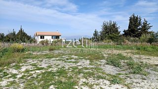 Οικόπεδο 4.645 τ.μ. για πώληση, Αχαΐα, Μεσσατίδα-thumb-21