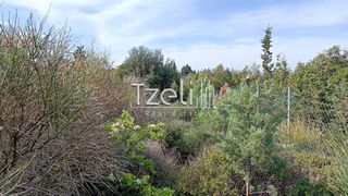 Οικόπεδο 4.645 τ.μ. για πώληση, Αχαΐα, Μεσσατίδα-thumb-10