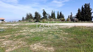 Οικόπεδο 4.645 τ.μ. για πώληση, Αχαΐα, Μεσσατίδα-thumb-25