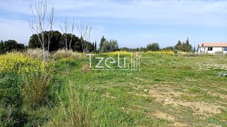 Οικόπεδο 4.645 τ.μ. για πώληση, Αχαΐα, Μεσσατίδα-thumb-16