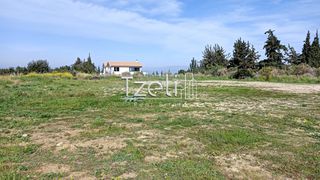 Οικόπεδο 4.645 τ.μ. για πώληση, Αχαΐα, Μεσσατίδα-thumb-26