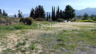 Οικόπεδο 4.645 τ.μ. για πώληση, Αχαΐα, Μεσσατίδα-thumb-9