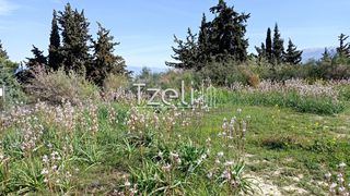 Οικόπεδο 4.645 τ.μ. για πώληση, Αχαΐα, Μεσσατίδα-thumb-12
