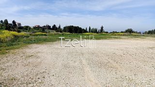 Οικόπεδο 4.645 τ.μ. για πώληση, Αχαΐα, Μεσσατίδα-thumb-24