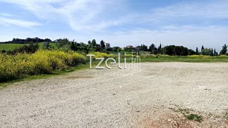 Οικόπεδο 4.645 τ.μ. για πώληση, Αχαΐα, Μεσσατίδα-thumb-27