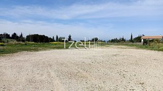 Οικόπεδο 4.645 τ.μ. για πώληση, Αχαΐα, Μεσσατίδα-thumb-19