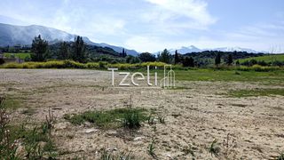 Οικόπεδο 4.645 τ.μ. για πώληση, Αχαΐα, Μεσσατίδα-thumb-5