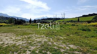 Οικόπεδο 4.645 τ.μ. για πώληση, Αχαΐα, Μεσσατίδα-thumb-18