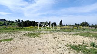 Οικόπεδο 4.645 τ.μ. για πώληση, Αχαΐα, Μεσσατίδα-thumb-11