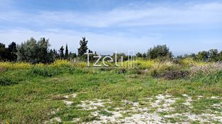 Οικόπεδο 4.645 τ.μ. για πώληση, Αχαΐα, Μεσσατίδα-thumb-20