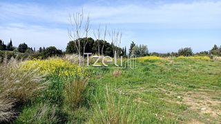Οικόπεδο 4.645 τ.μ. για πώληση, Αχαΐα, Μεσσατίδα-thumb-28