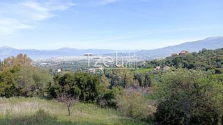 Οικόπεδο 4.645 τ.μ. για πώληση, Αχαΐα, Μεσσατίδα-thumb-14