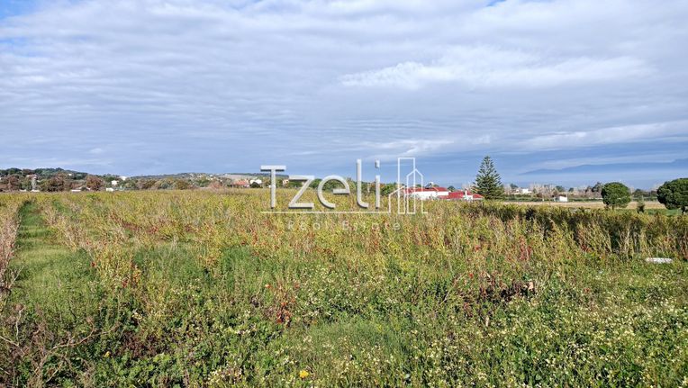 Land plot 24.000 sqm for sale, Achaia, Larissos