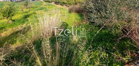 Οικόπεδο 6.000τ.μ. για πώληση-Πάτρα » Ταραμπούρα