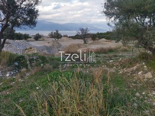 Οικόπεδο 26.600 τ.μ. για πώληση