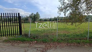 Οικόπεδο 10.000 τ.μ. για πώληση