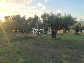 Οικόπεδο 992 τ.μ. για πώληση