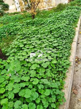 Land plot 300sqm for sale-Ilion » Micheli